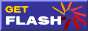 Get the Flash Plug-in.